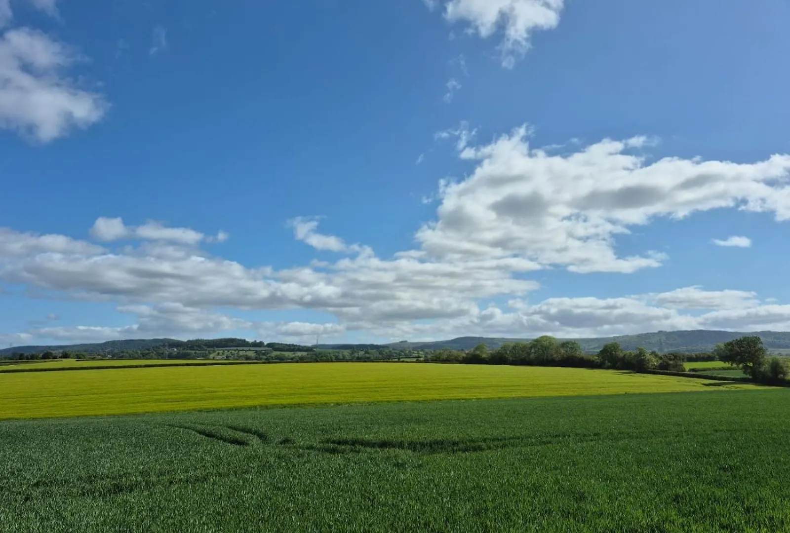 The White Horse Lodge Hotel Thirsk United Kingdom